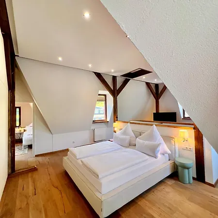 Hotel Villa Vie Cochem-3